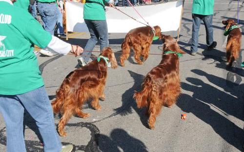 St. Patrick's Parade